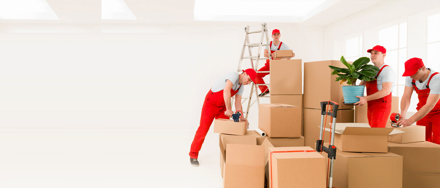 Bolu Evden Eve Nakliyat